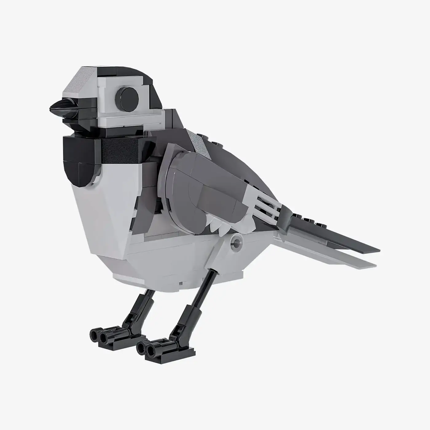 BlueBrixx White Wagtail • Set 106718 • SetDB