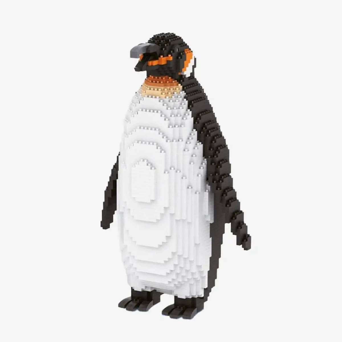 BB-107579.jpeg?v=3