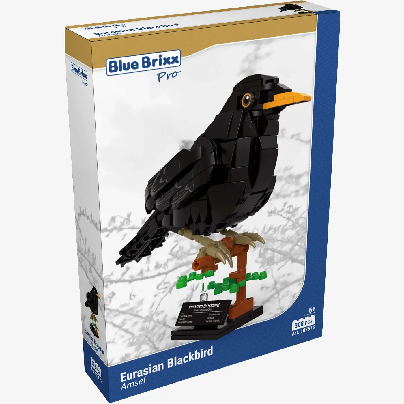 BlueBrixx Eurasian Blackbird • Set 107675 • SetDB