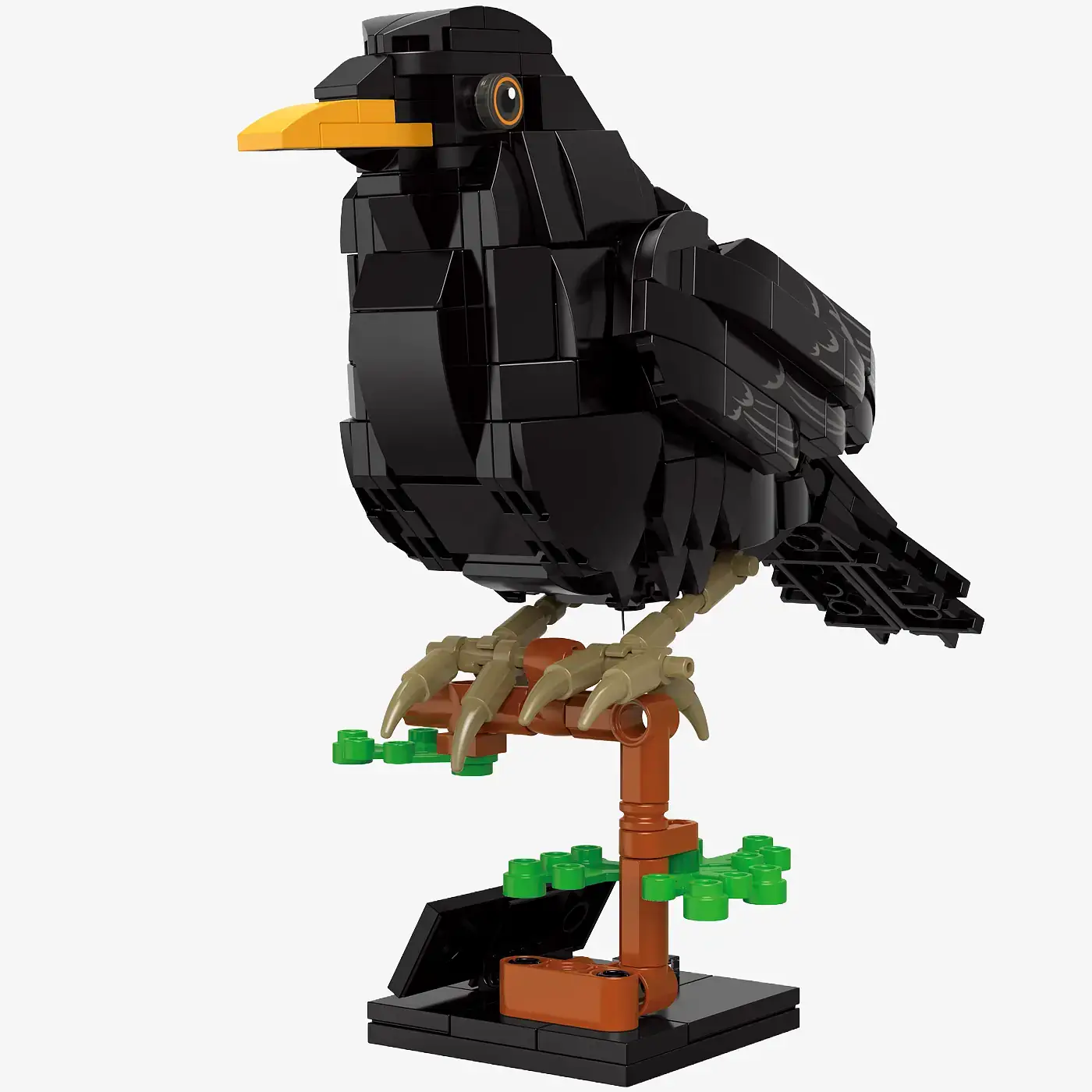 BlueBrixx Eurasian Blackbird • Set 107675 • SetDB