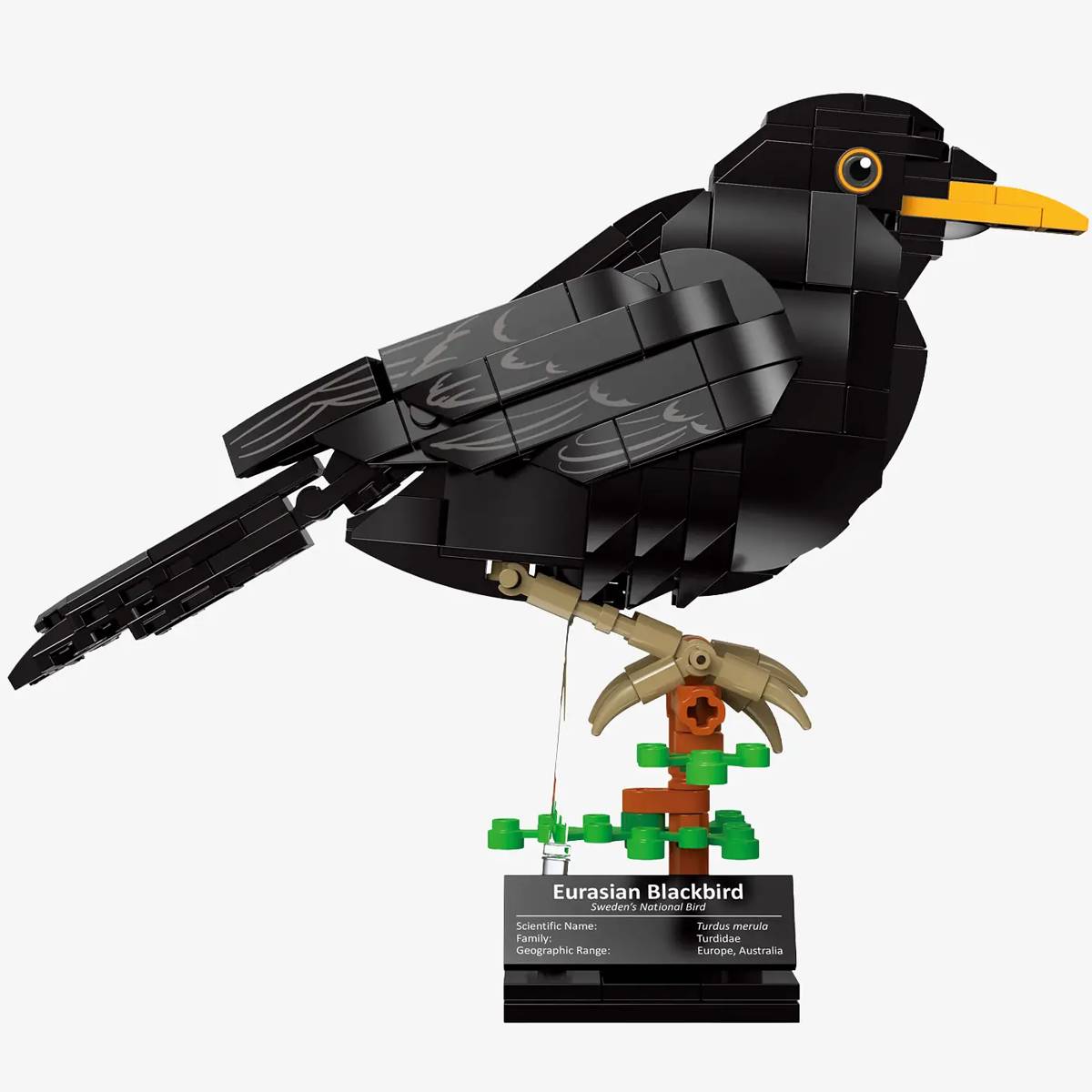 リゾレーヌ2箱❁﻿Black Bird ❁﻿ リゾレーヌ2箱❁﻿Black Bird 様専用❁﻿ 【公式通販】