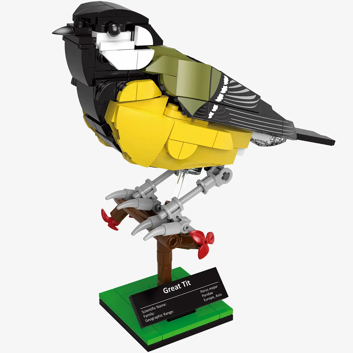BlueBrixx Great Tit • Set 107676 • SetDB • Merlins Bricks