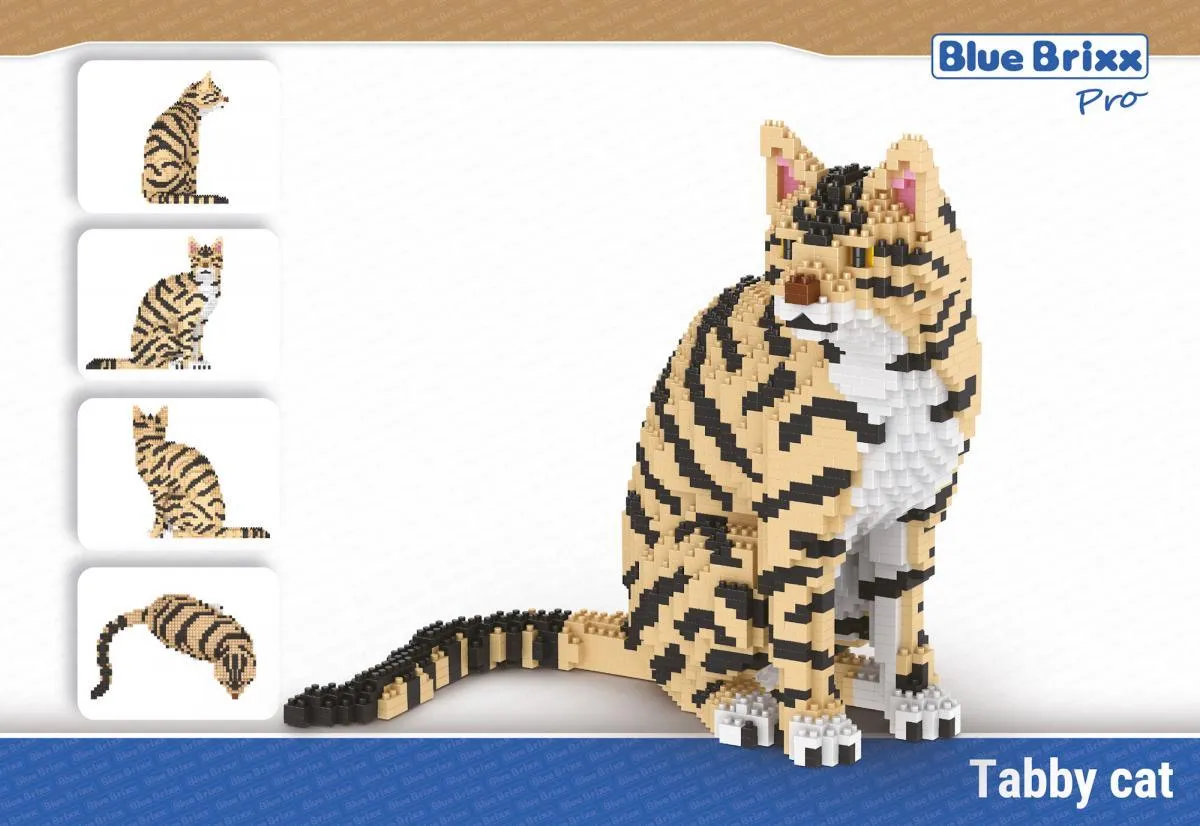 BlueBrixx Tabby cat • DIAMOND BLOCKS • Set 107715 • SetDB