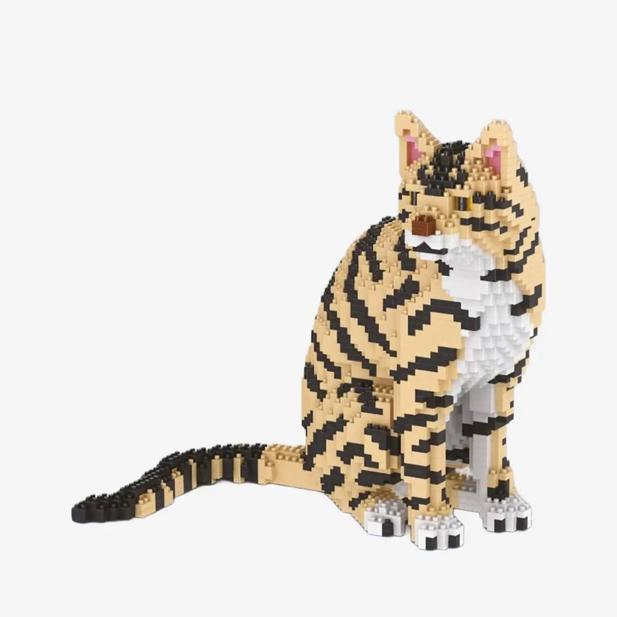 tabbyページ BlueBrixx Tabby cat • DIAMOND BLOCKS • Set 107715 • SetDB