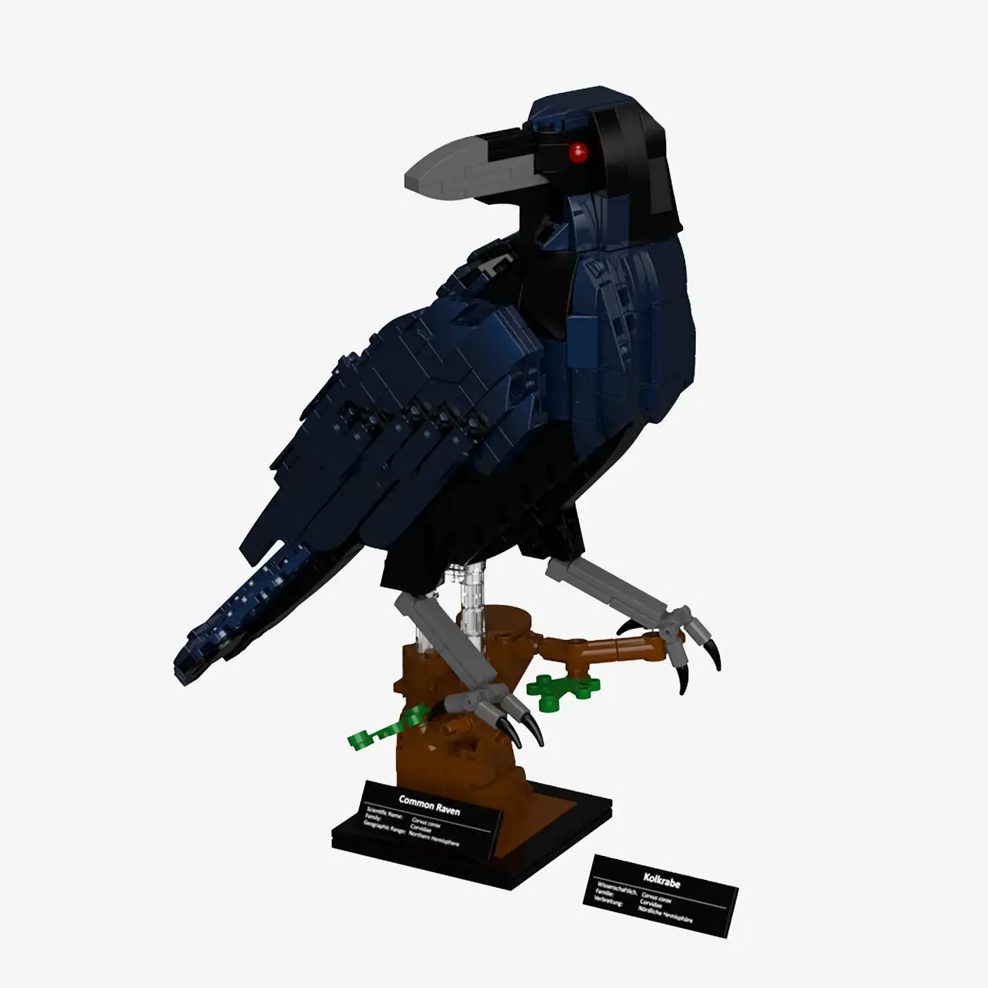 トップス andmary Raven gather set up black ANDMARY】Raven gather set up