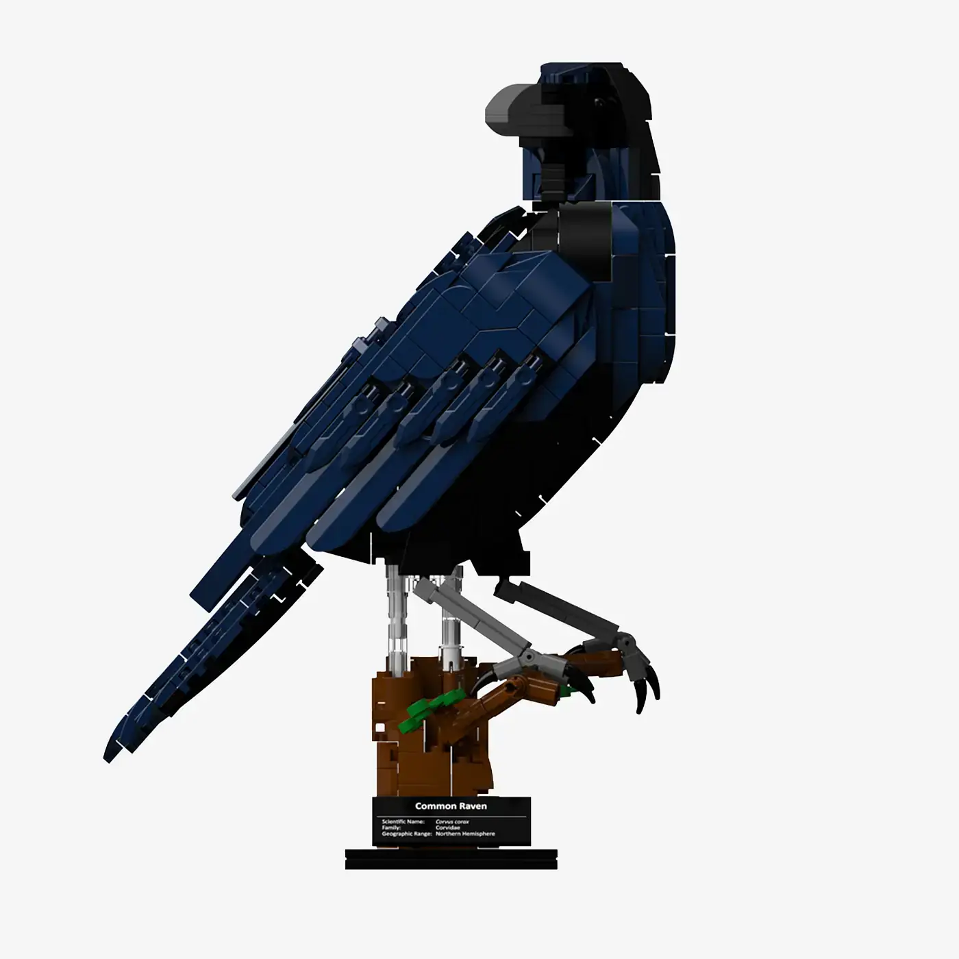 BlueBrixx Common raven • Set 107784 • SetDB • Merlins Bricks
