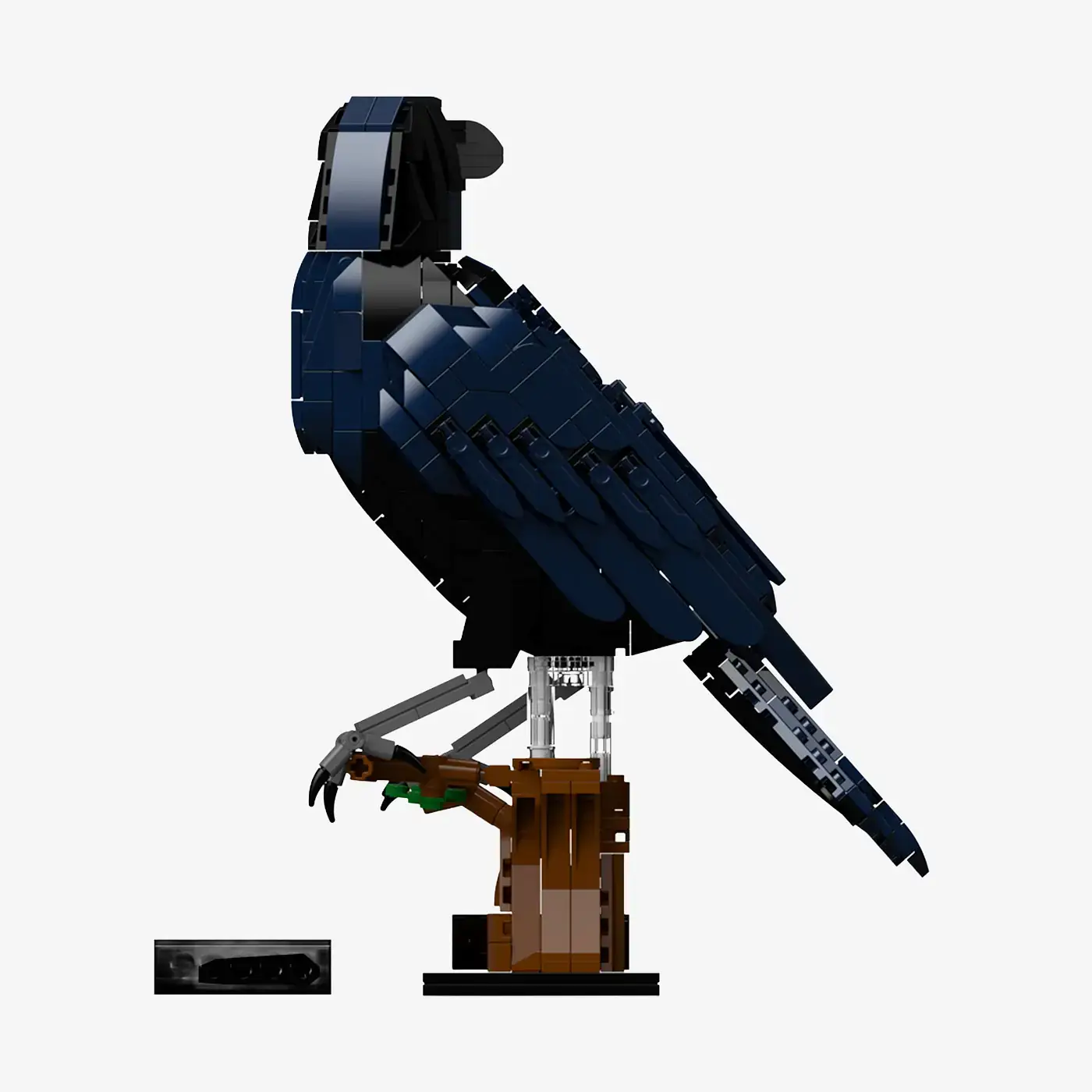 BlueBrixx Common raven • Set 107784 • SetDB • Merlins Bricks