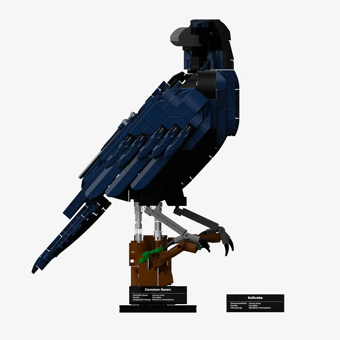 BlueBrixx Common raven • Set 107784 • SetDB • Merlins Bricks