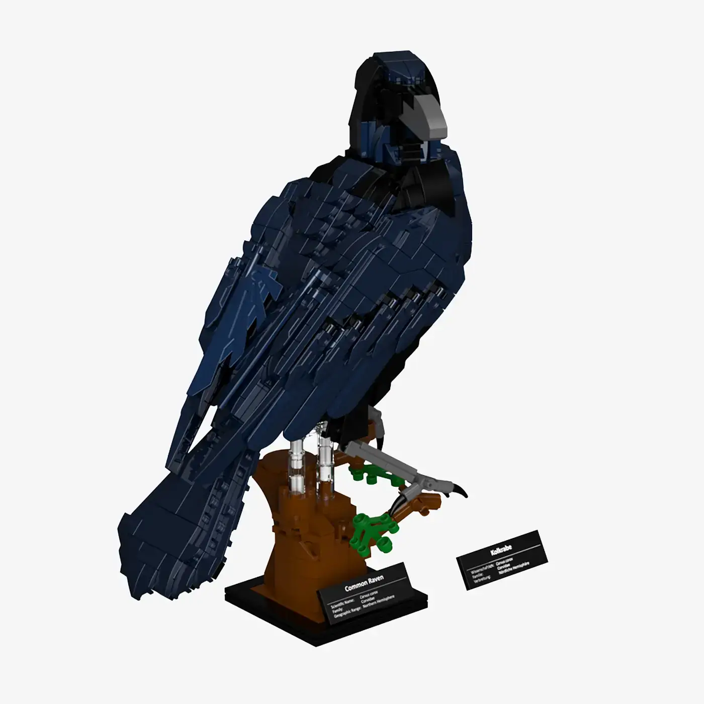 BlueBrixx Common raven • Set 107784 • SetDB • Merlins Bricks