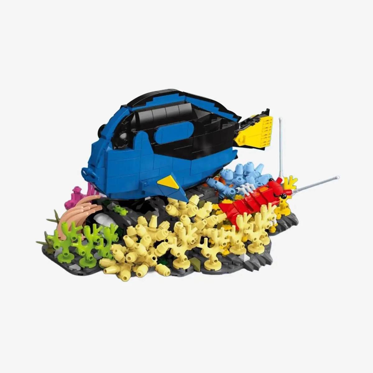 Pallet Surgeonfish (BB-108672) — Prix et comparaison | Brick Broker