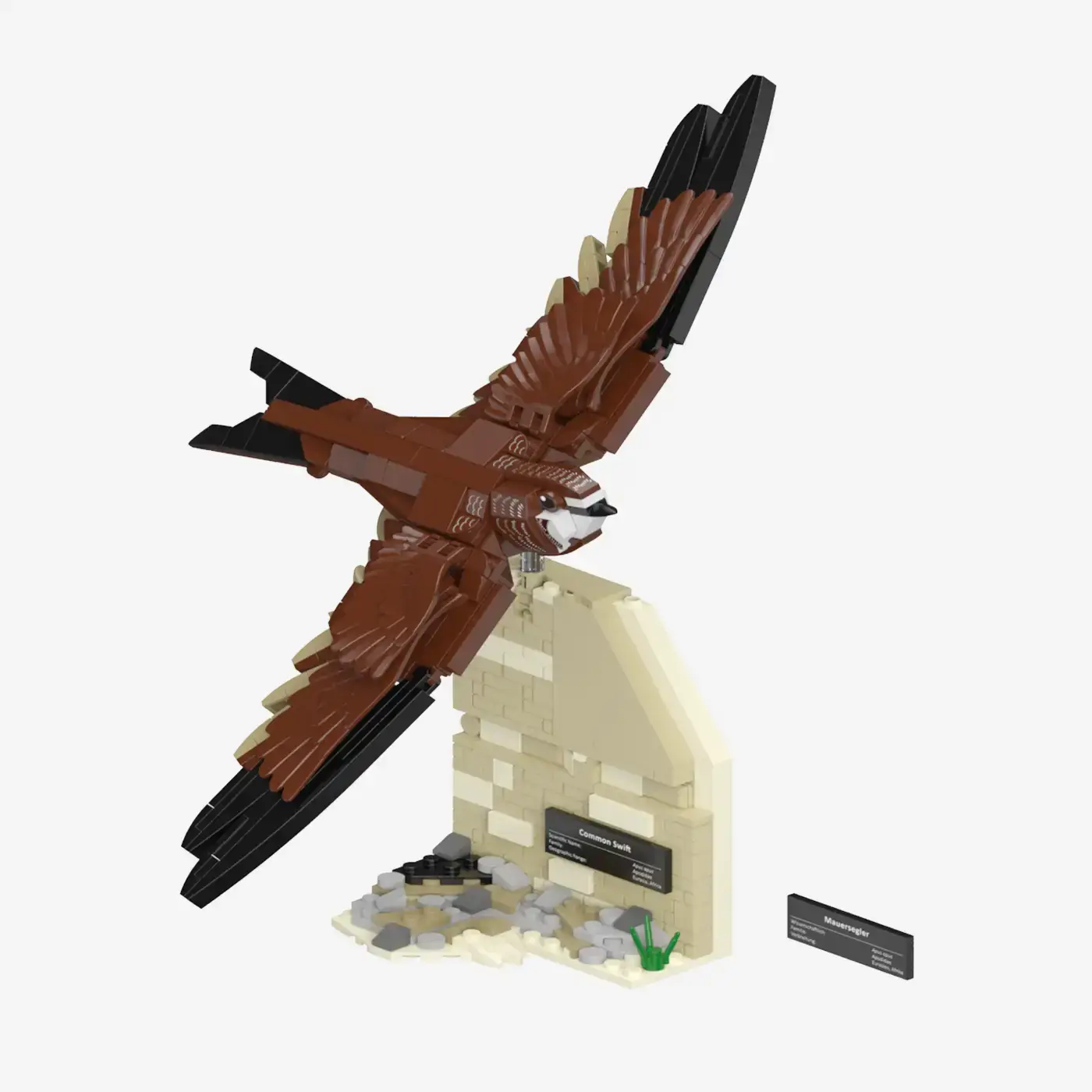 BlueBrixx Common Swift • Set 108723 • SetDB • Merlins Bricks