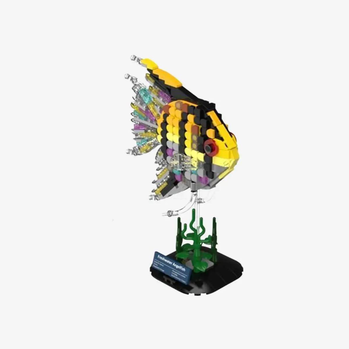 Poisson ange d'eau douce (BB-108816) — Prix et comparaison | Brick Broker