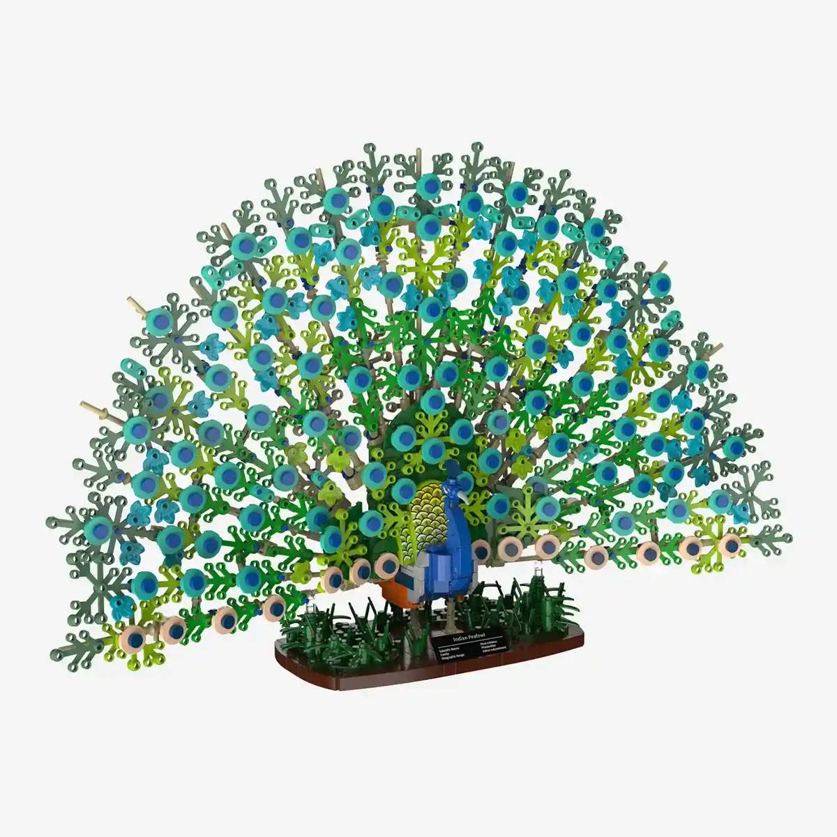 Paon bleu (BB-109009) — Prix et comparaison | Brick Broker