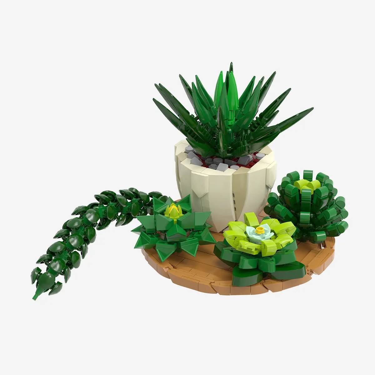 Assortiment de succulentes (BB-109179) — Prix et comparaison | Brick Broker