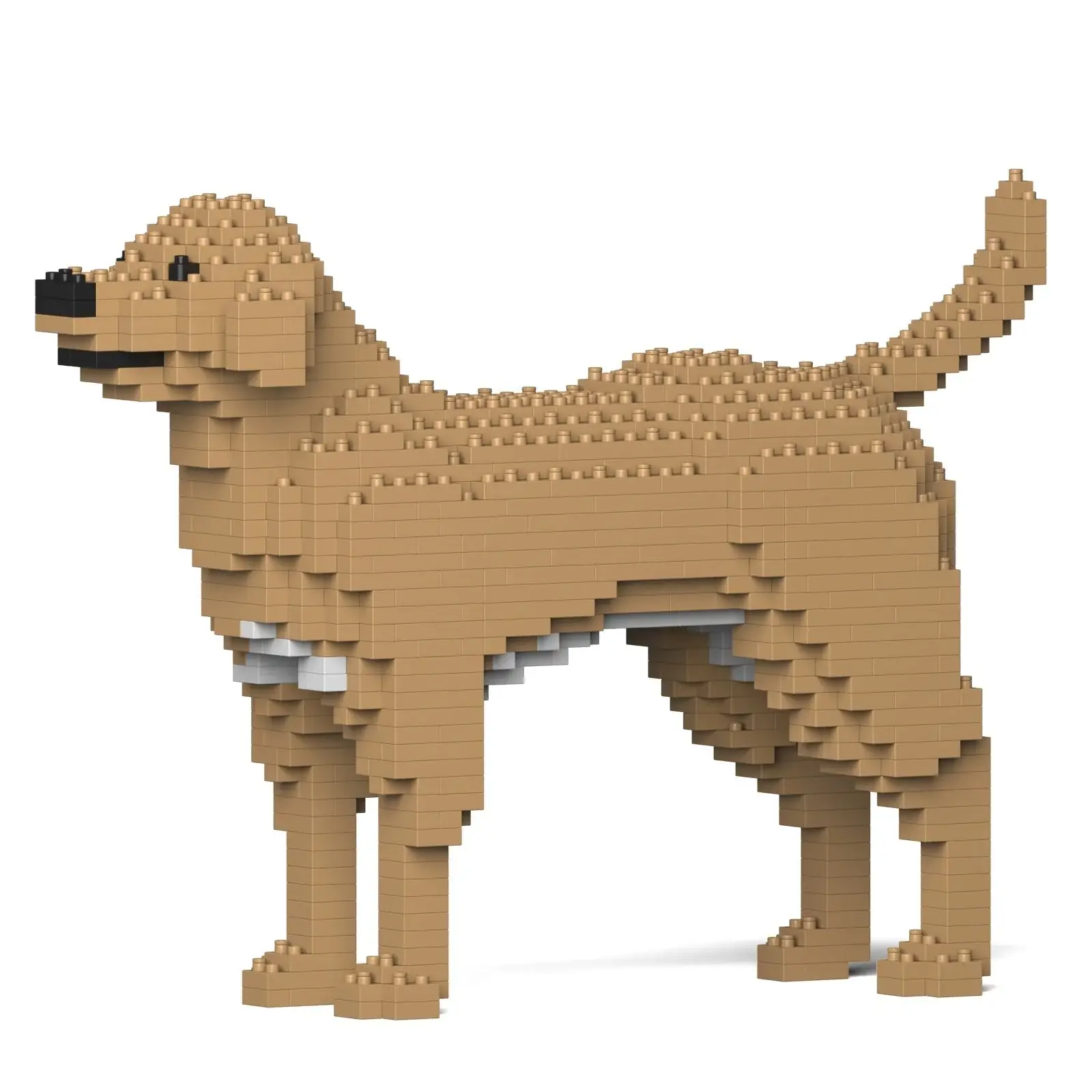 JEKCA Labrador Retriever 01-M04 Bigger Size