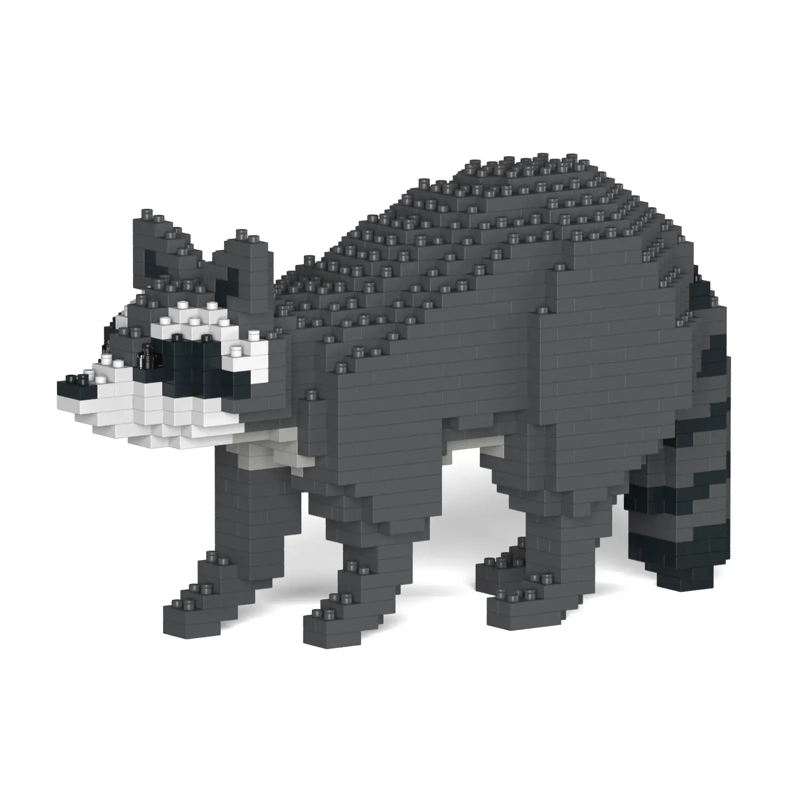 JEKCA Raccoon 01 Standard Size • SCULPTOR BLOCKS