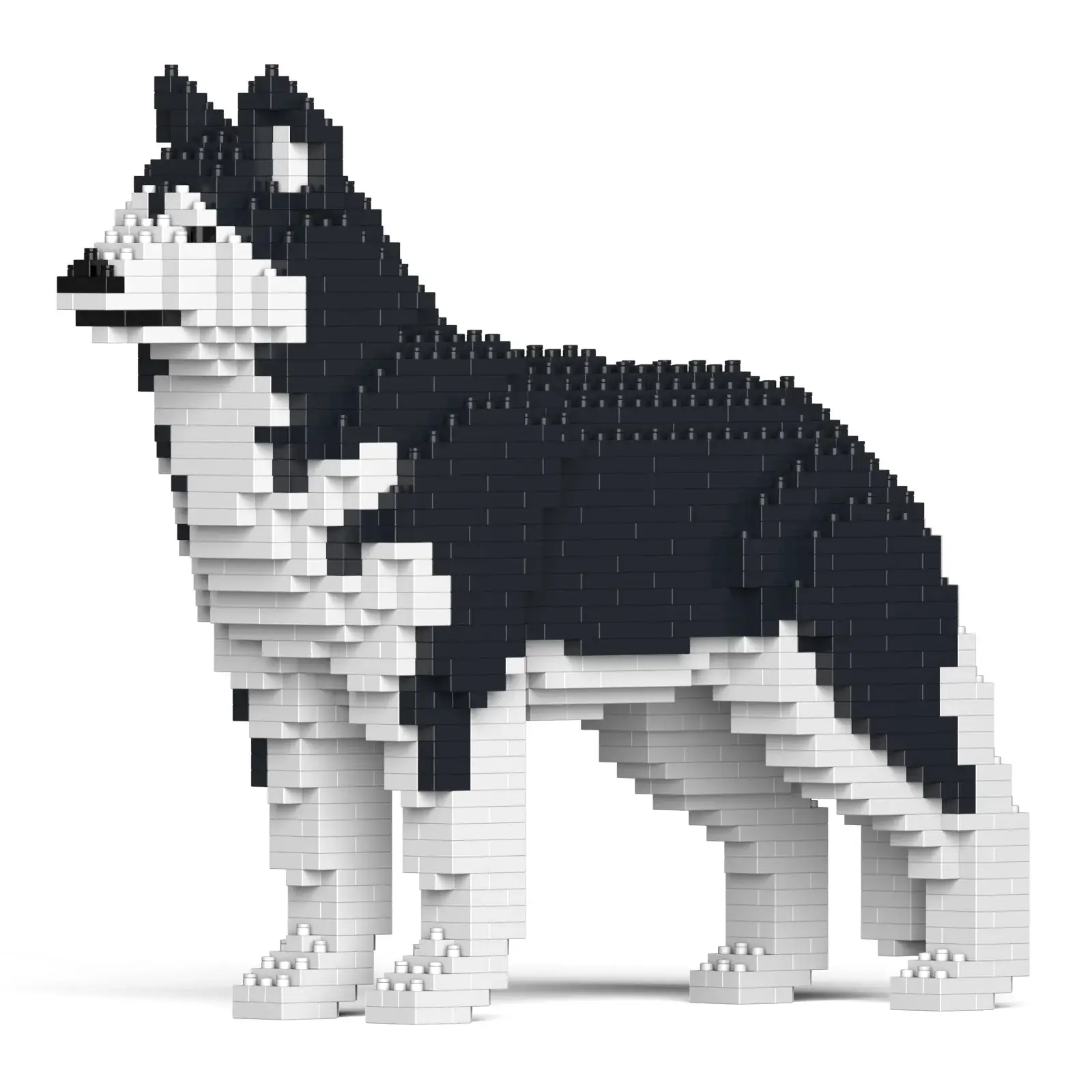 JEKCA Husky 01-M01 Standard Size • SCULPTOR BLOCKS