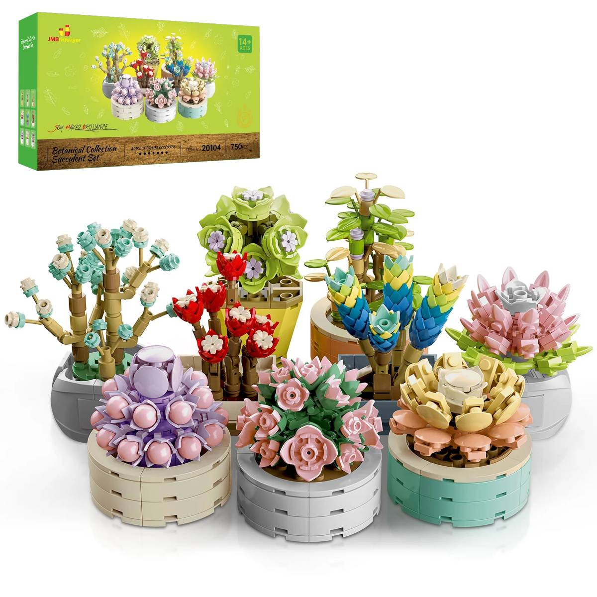 Plantes succulentes (JMB-20104) — Prix et comparaison | Brick Broker