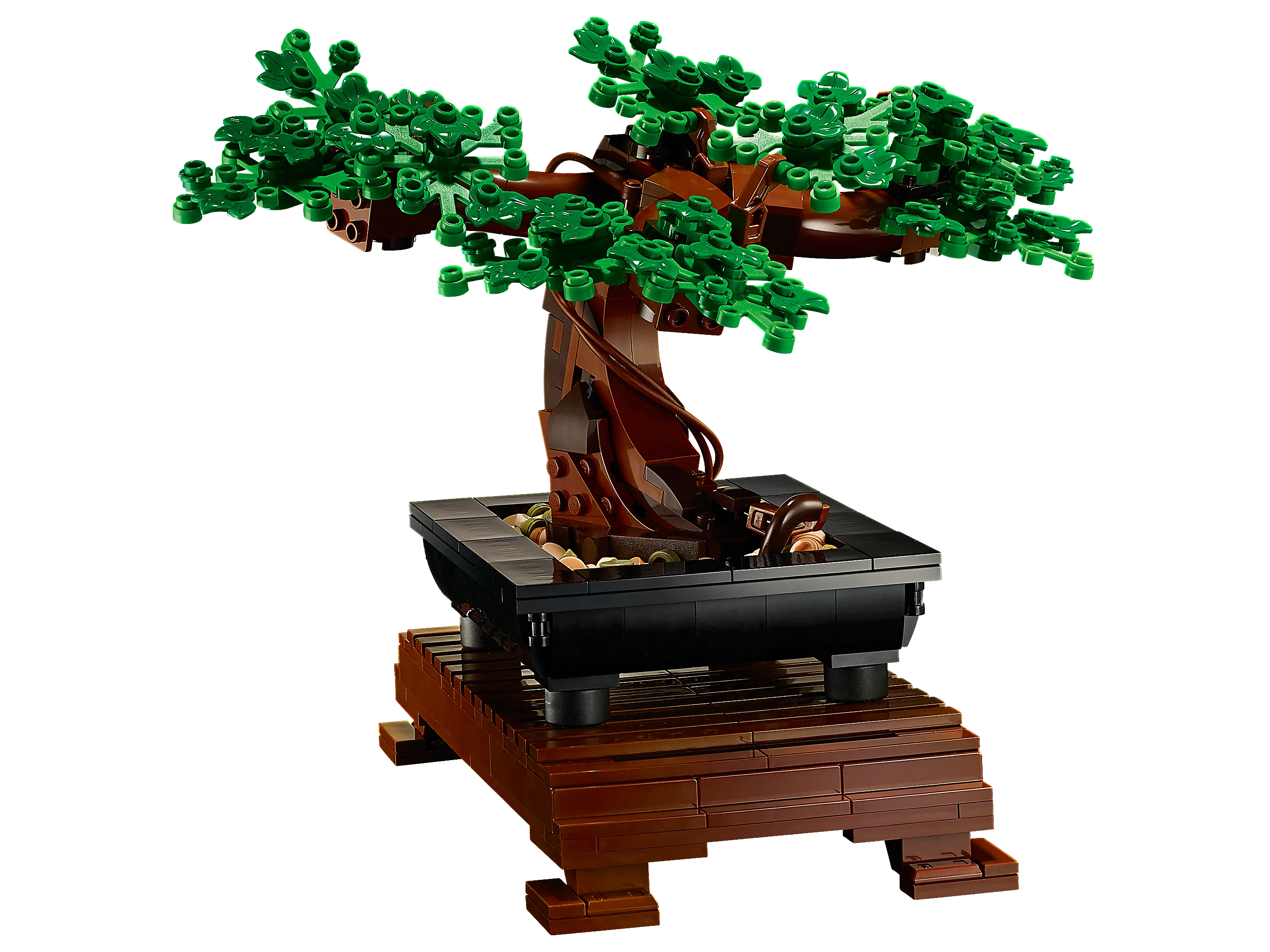 Lego botanical collection bonsai tree set 10281 best sale