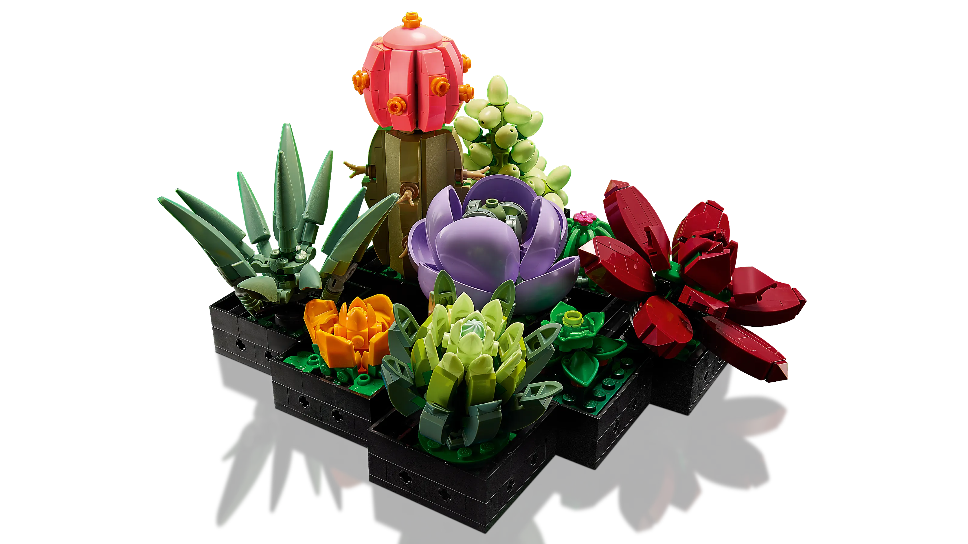LEGO Icons Botanical Collection Succulents • Set 10309