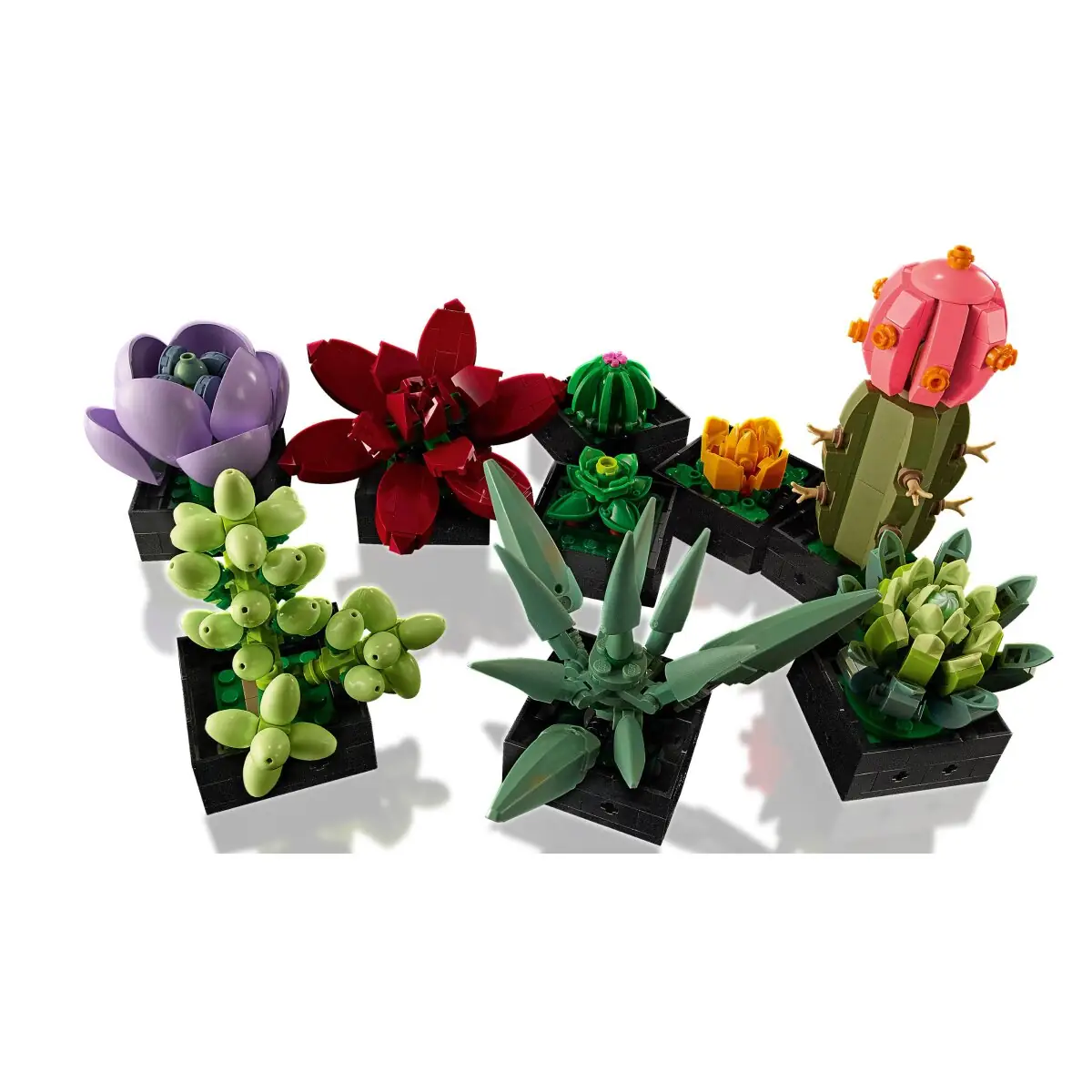 LEGO Icons Botanicals Succulents • Set 10309 • SetDB