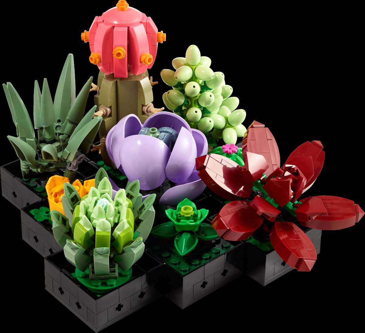 LEGO Icons Botanicals Succulents • Set 10309 • SetDB