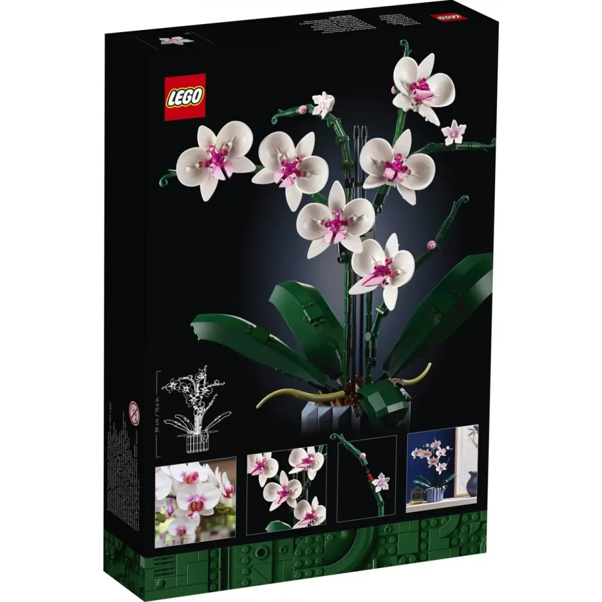 LEGO Icons Orchid • Set 10311 • SetDB • Merlins Bricks