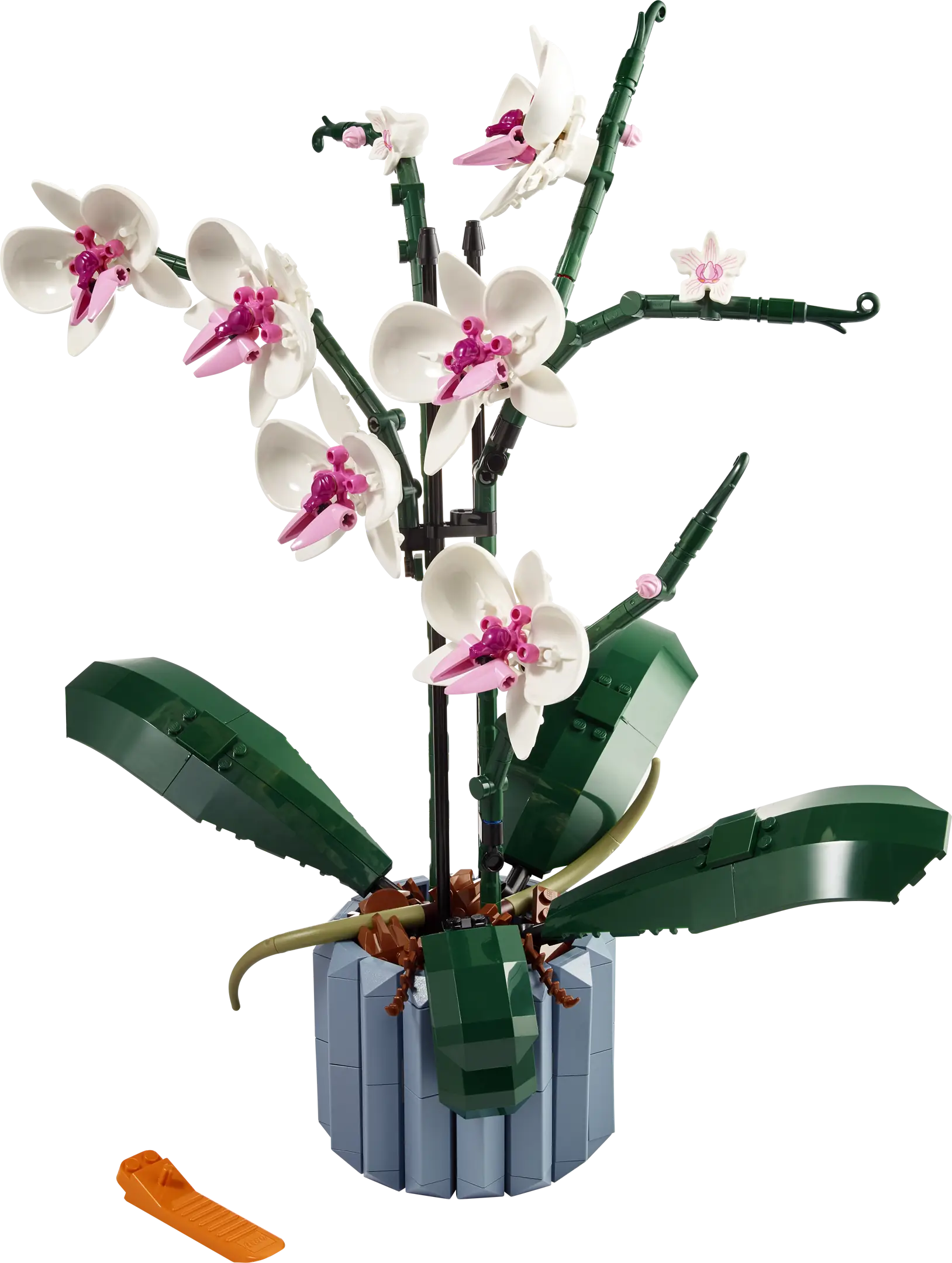 LEGO Icons Orchid • Set 10311 • SetDB • Merlins Bricks