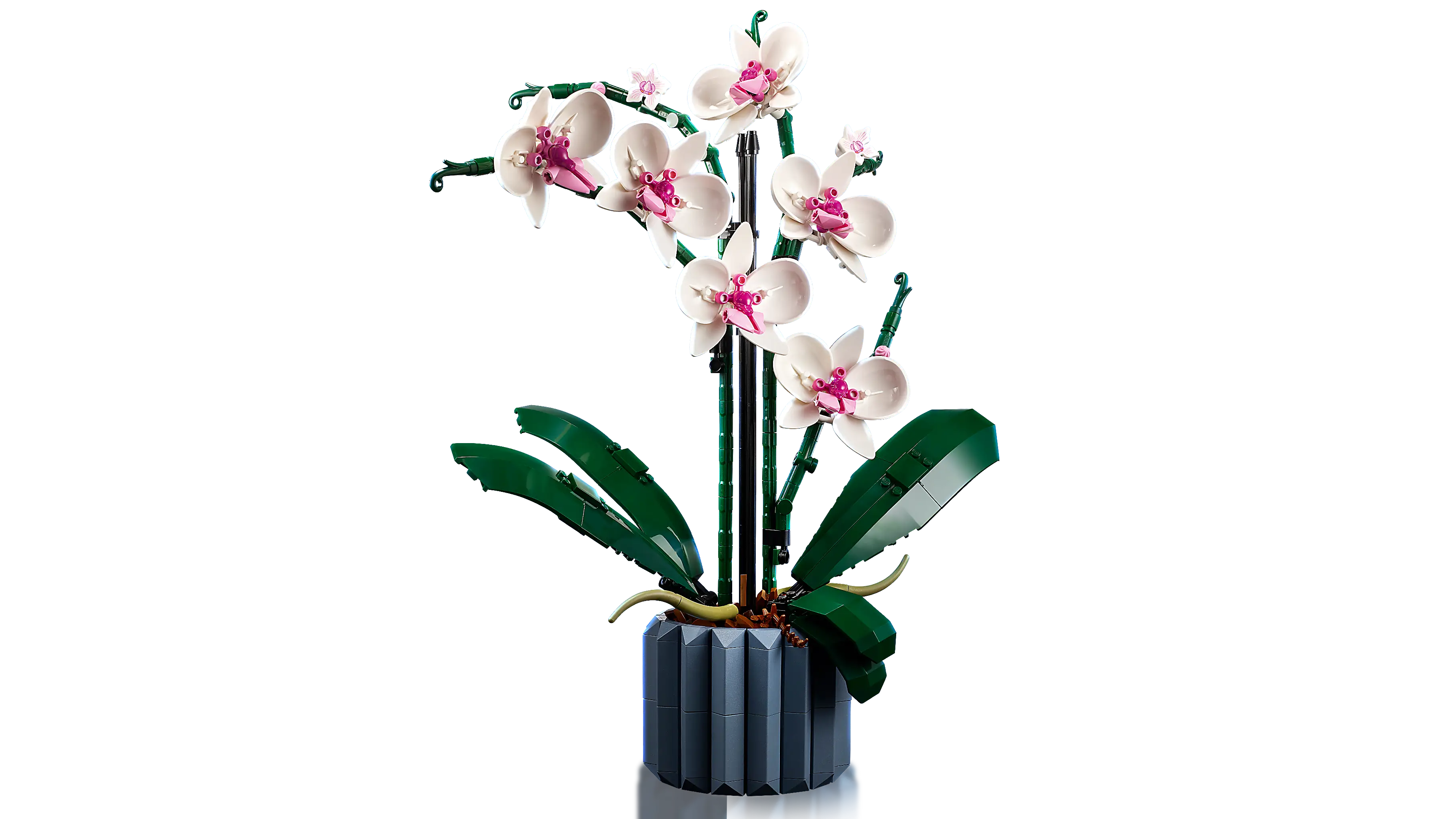 LEGO Icons Orchid • Set 10311 • SetDB • Merlins Bricks