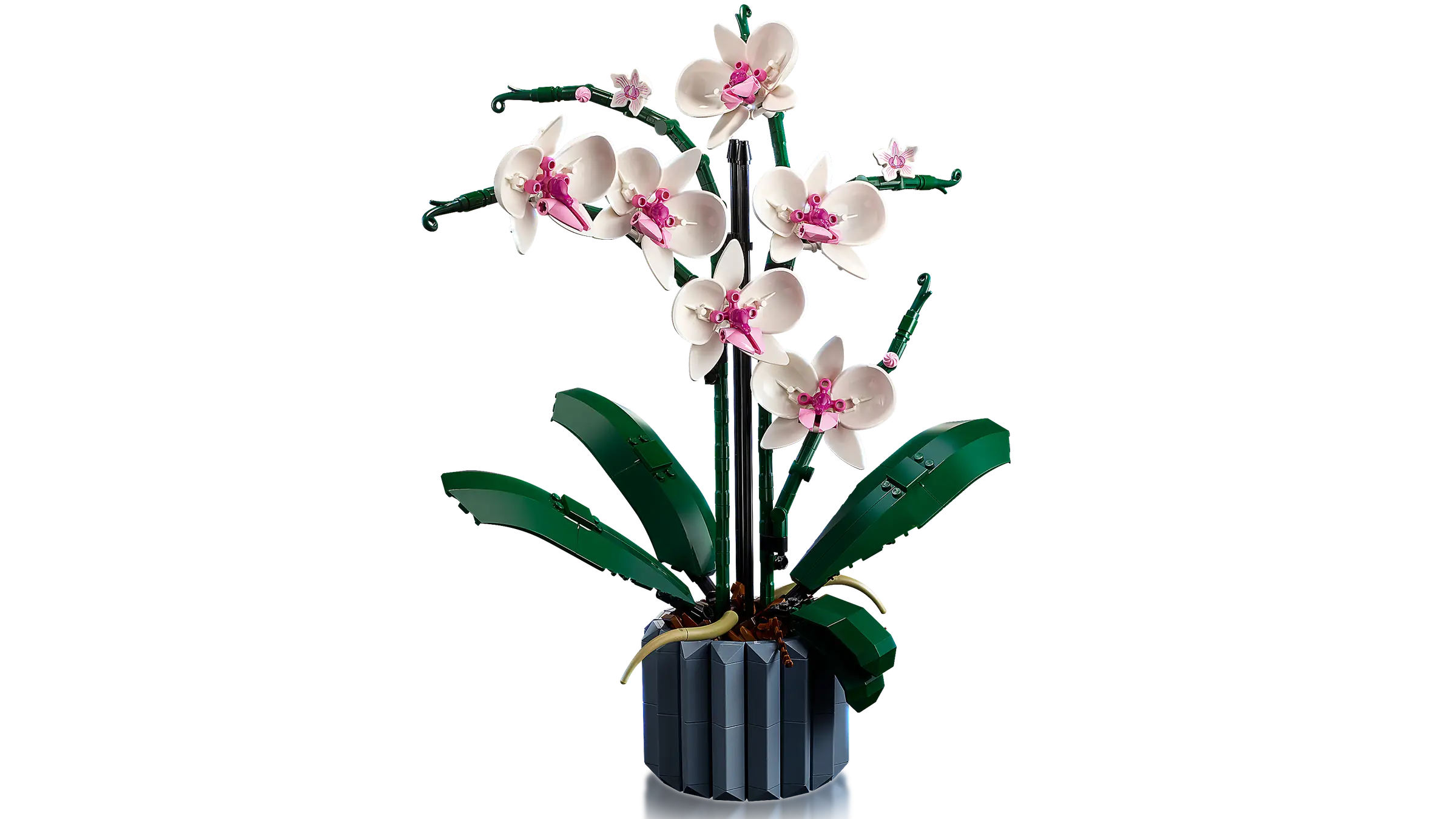 LEGO Icons Orchid • Set 10311 • SetDB • Merlins Bricks