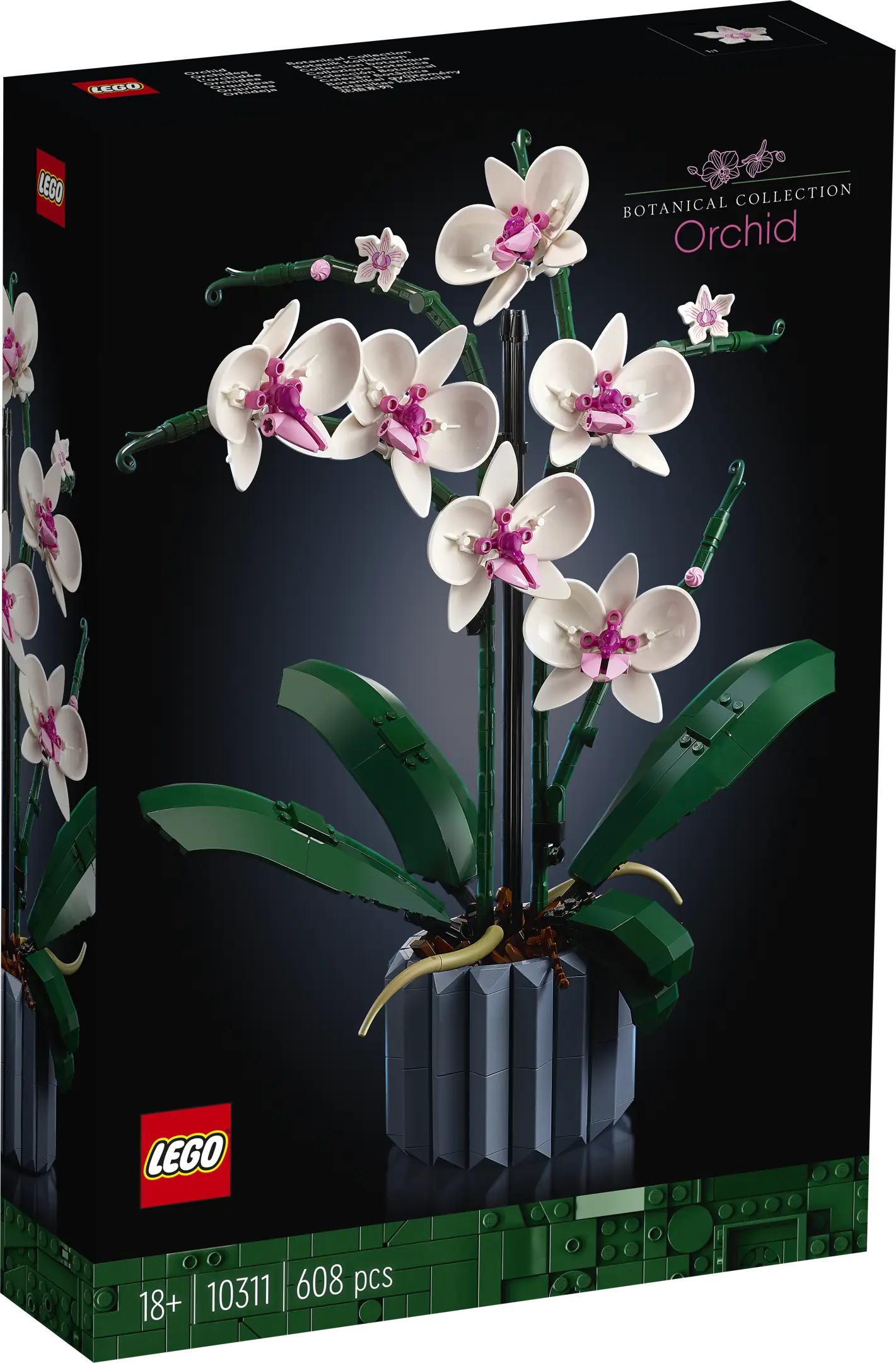 LEGO Icons Orchid • Set 10311 • SetDB • Merlins Bricks