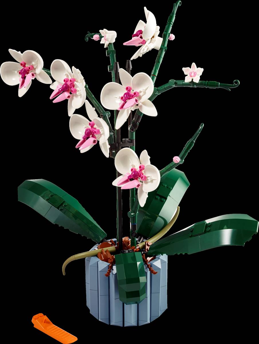 LEGO Icons Orchid • Set 10311 • SetDB • Merlins Bricks