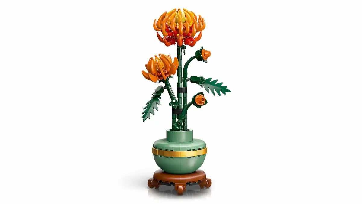 LEGO-10368-3.webp?v=2