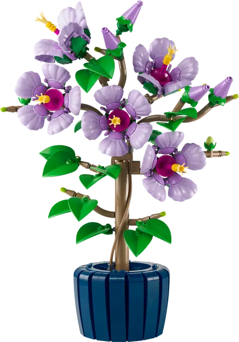 LEGO Botanical Collection Botanicals Evergreen Collector's Set