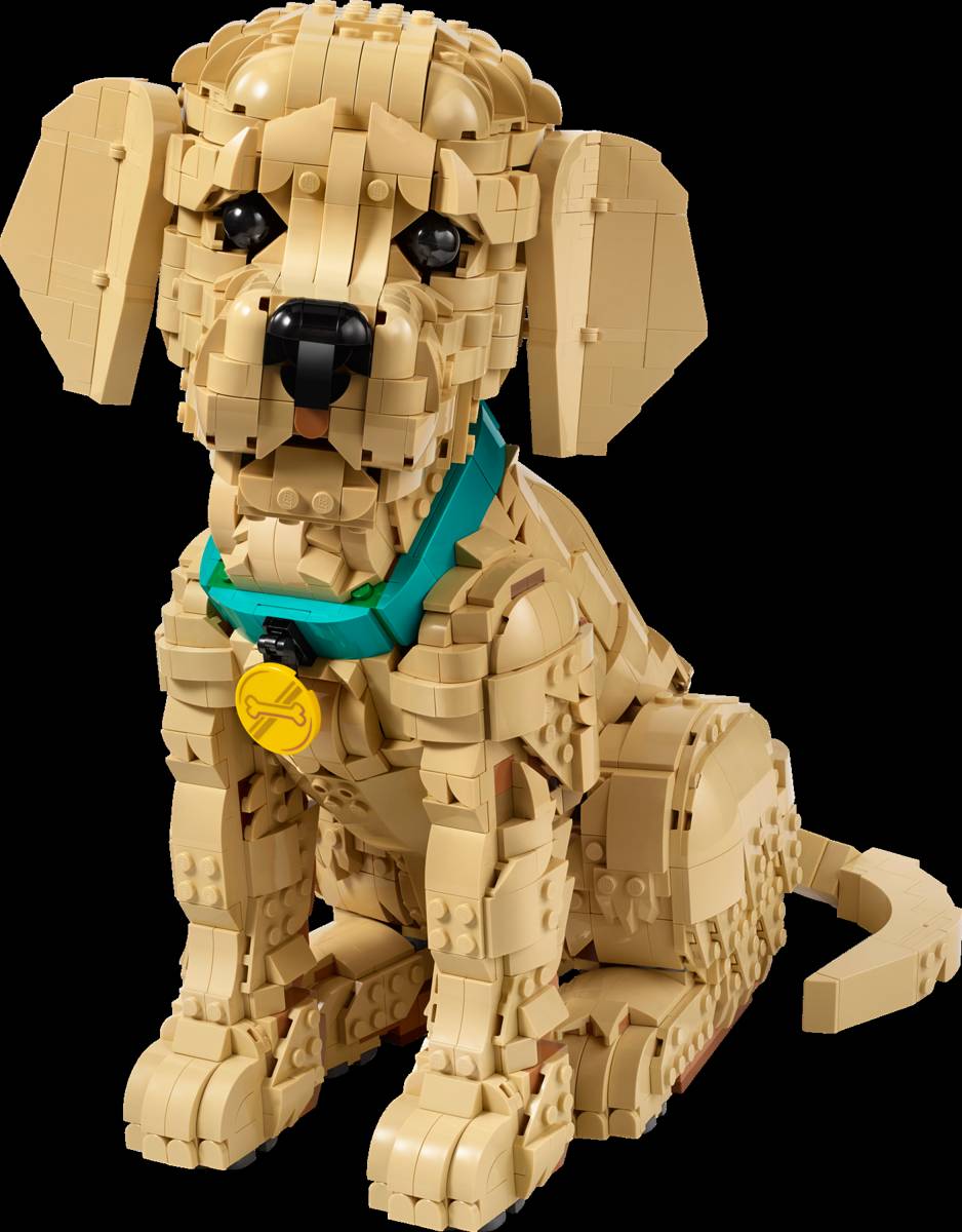LEGO LEGO Icons Golden Retriever Puppy • Set 11384 • SetDB
