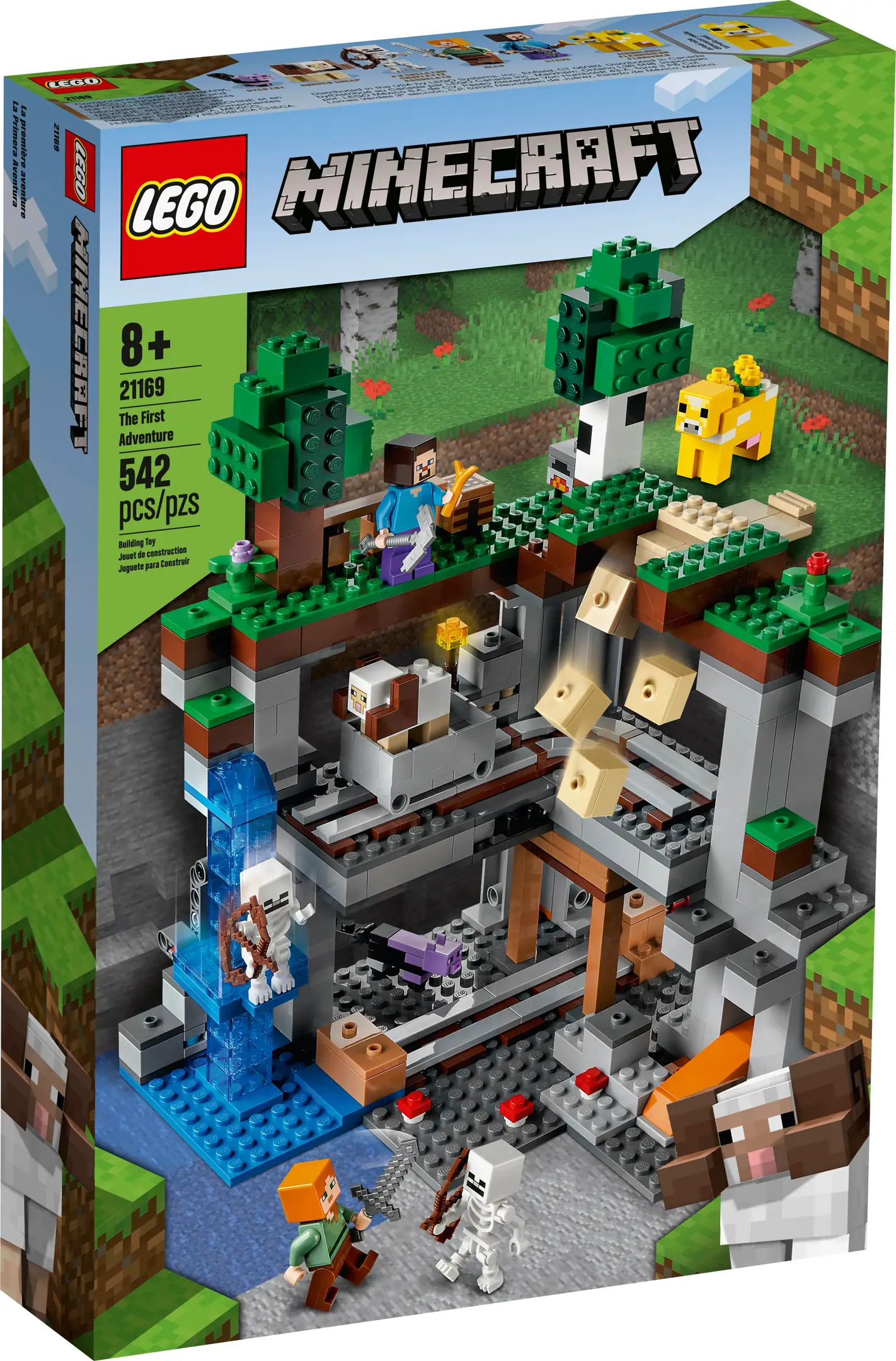 LEGO Minecraft The First Adventure • Set 21169 • SetDB
