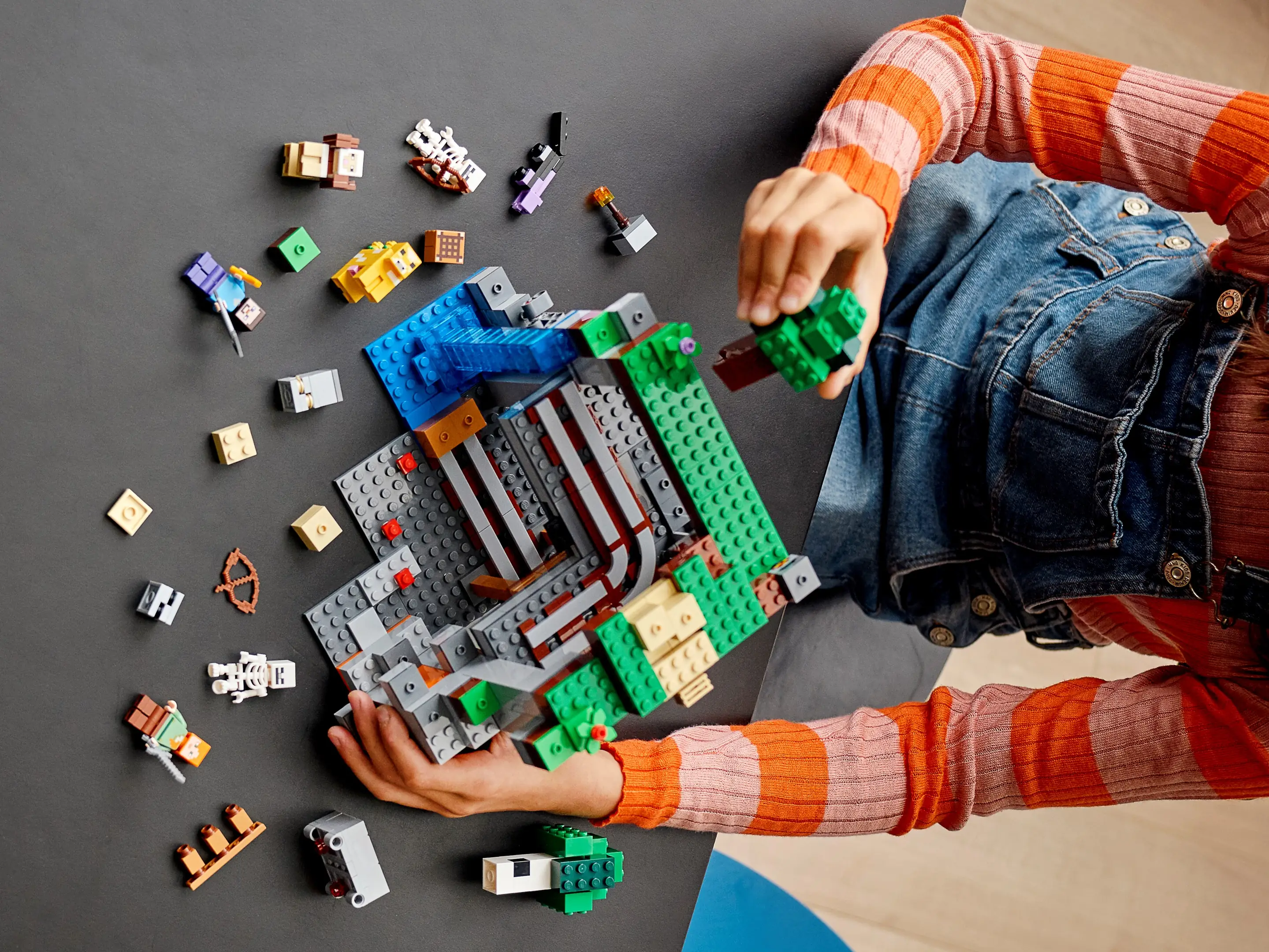 LEGO Minecraft The First Adventure • Set 21169 • SetDB