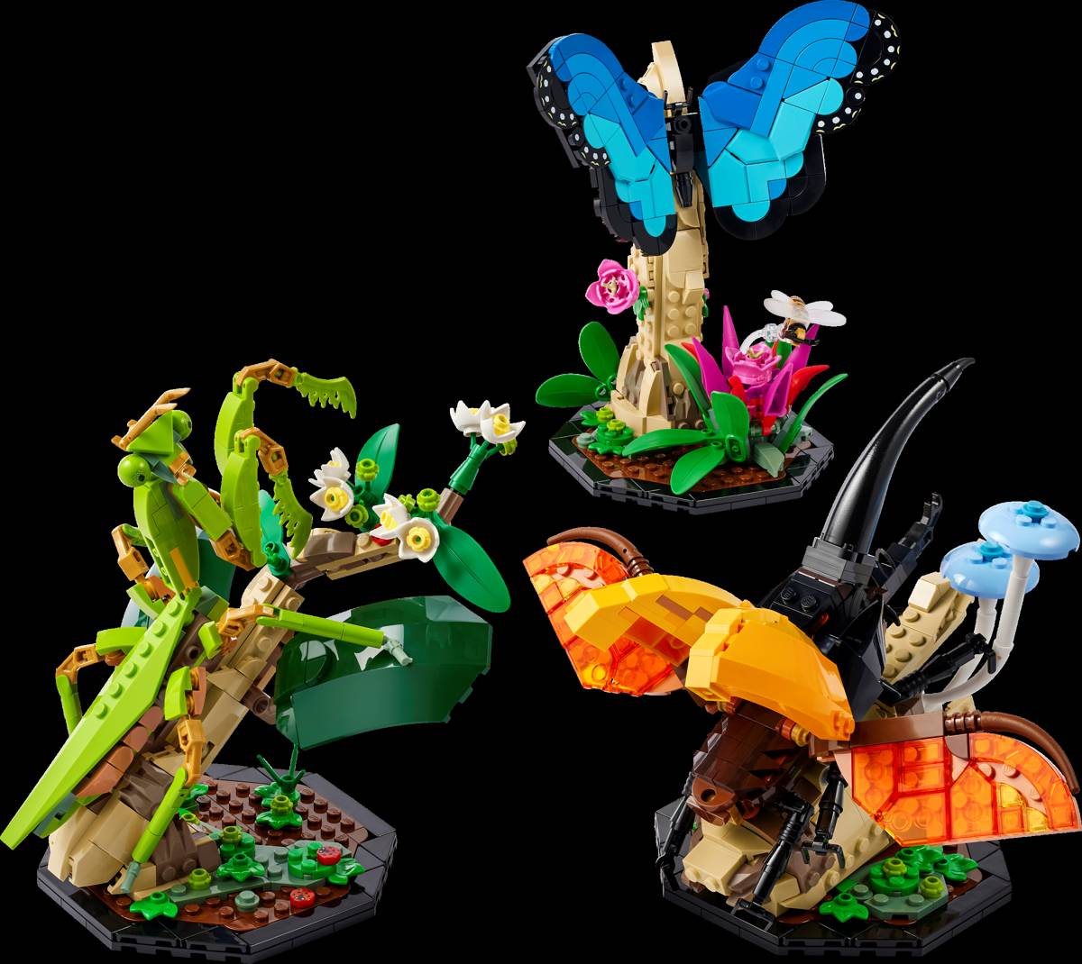 LEGO Ideas The Insect Collection • Set 21342 • SetDB