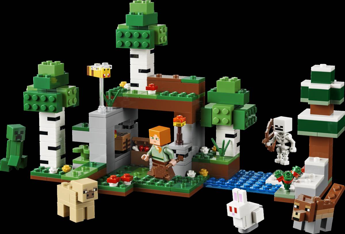 LEGO Minecraft First Night Adventure • Set 21593 • SetDB