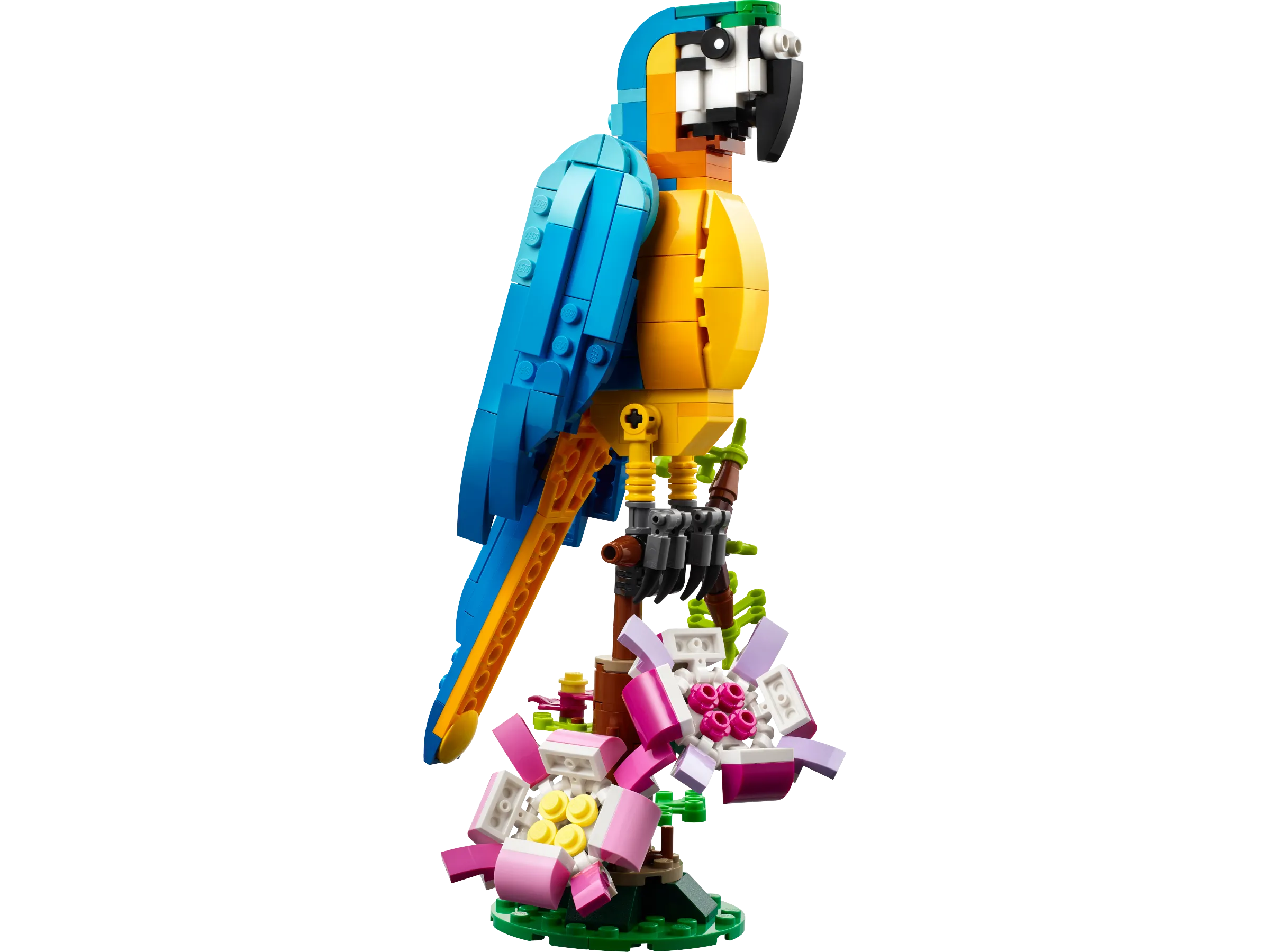 LEGO Creator Exotic Parrot • Set 31136 • SetDB
