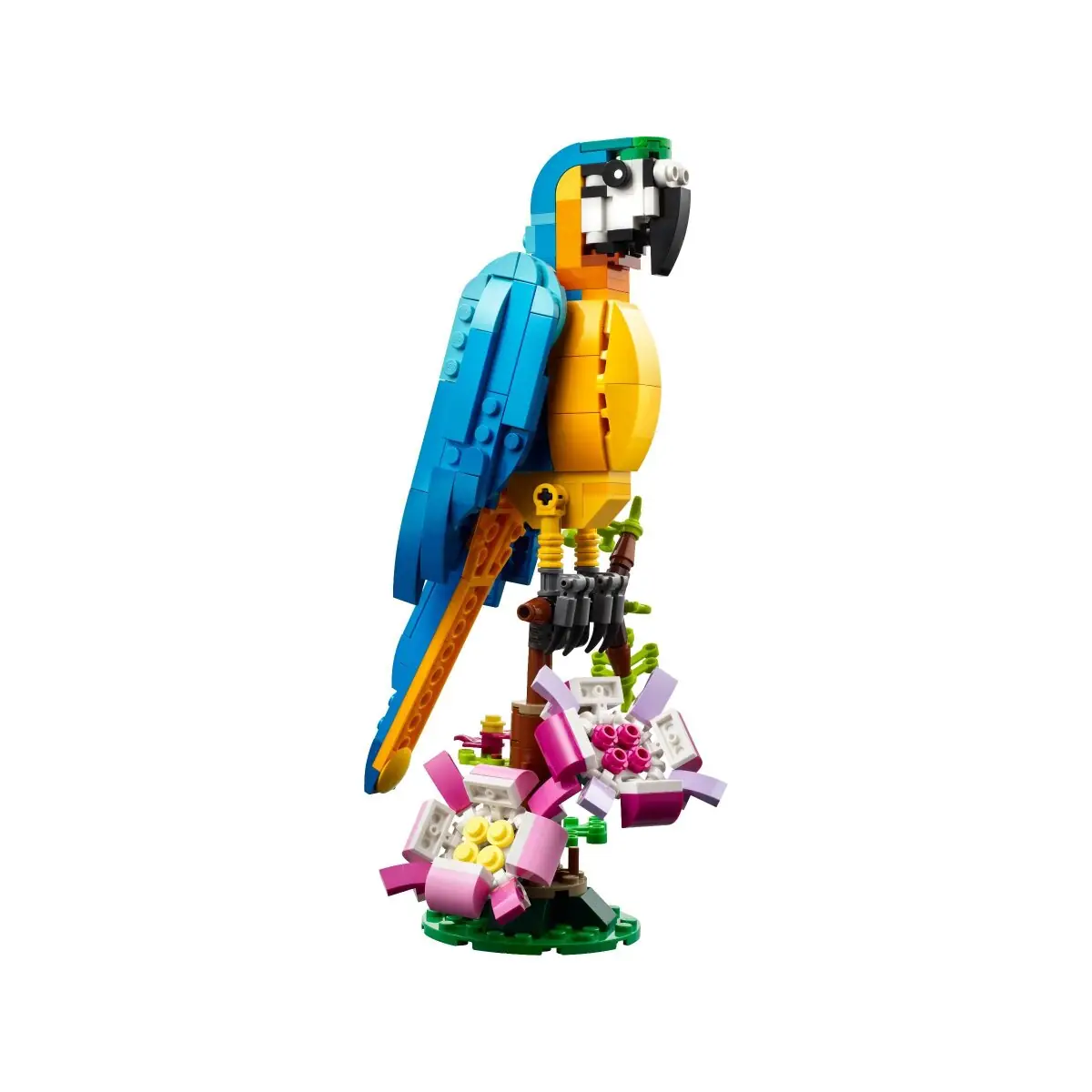 LEGO Creator 3-in-1 Exotic Parrot • Set 31136 • SetDB