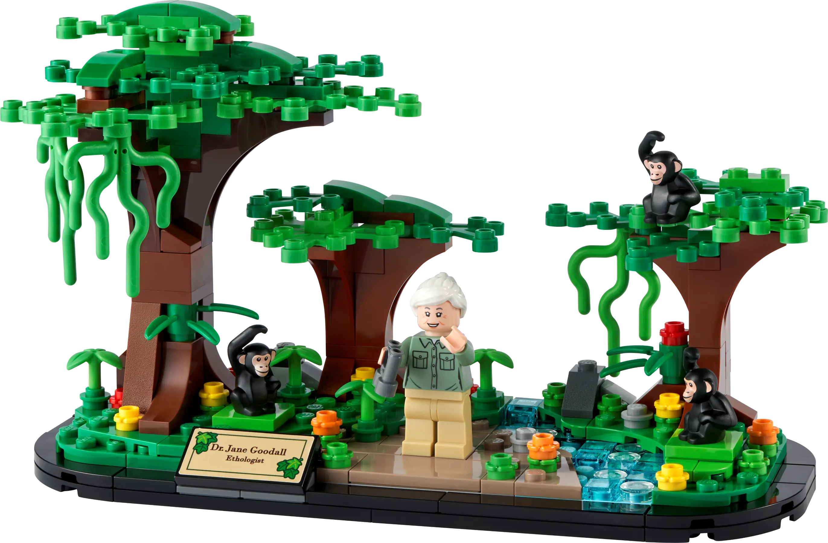 LEGO Jane Goodall Tribute • Set 40530 • SetDB