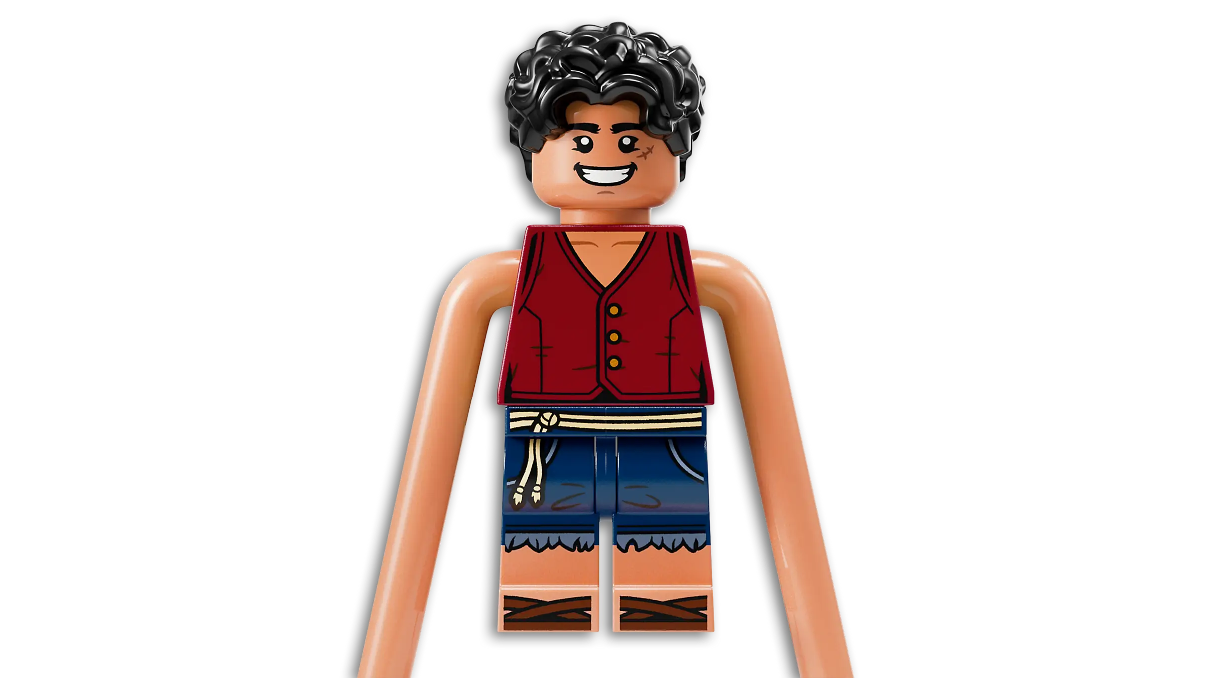 LEGO One Piece Battle at Arlong Park • Set 75638 • SetDB