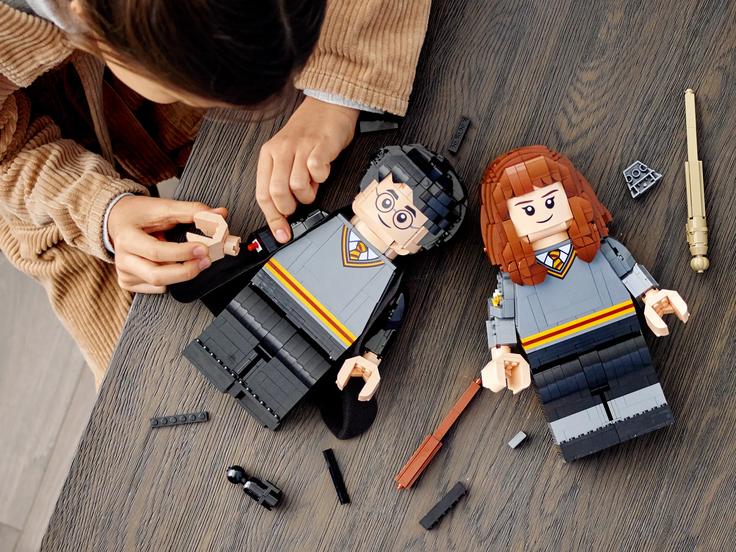 LEGO Harry Potter & Hermione Granger • Set 76393 • SetDB