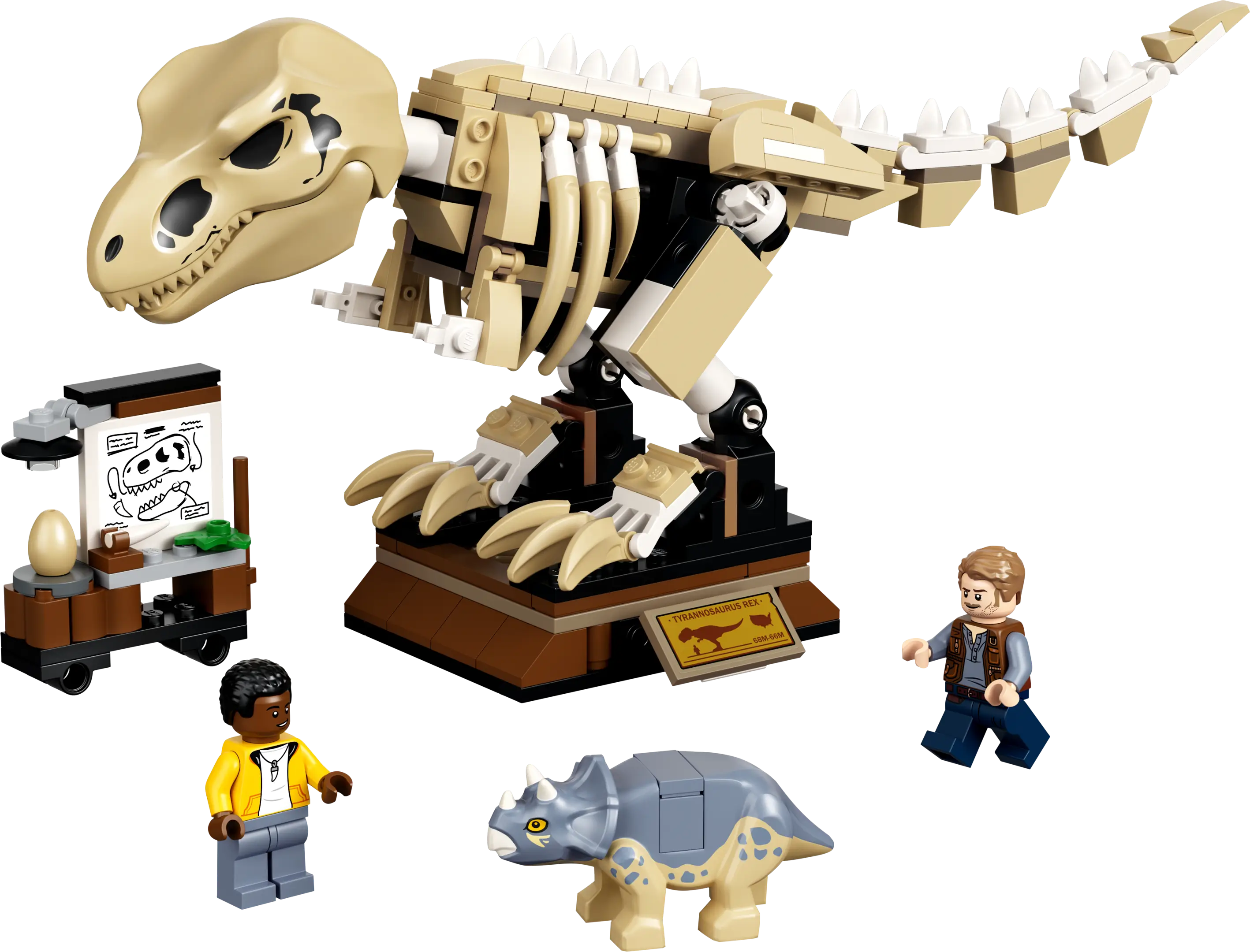 Lego dinosaur skeleton on sale