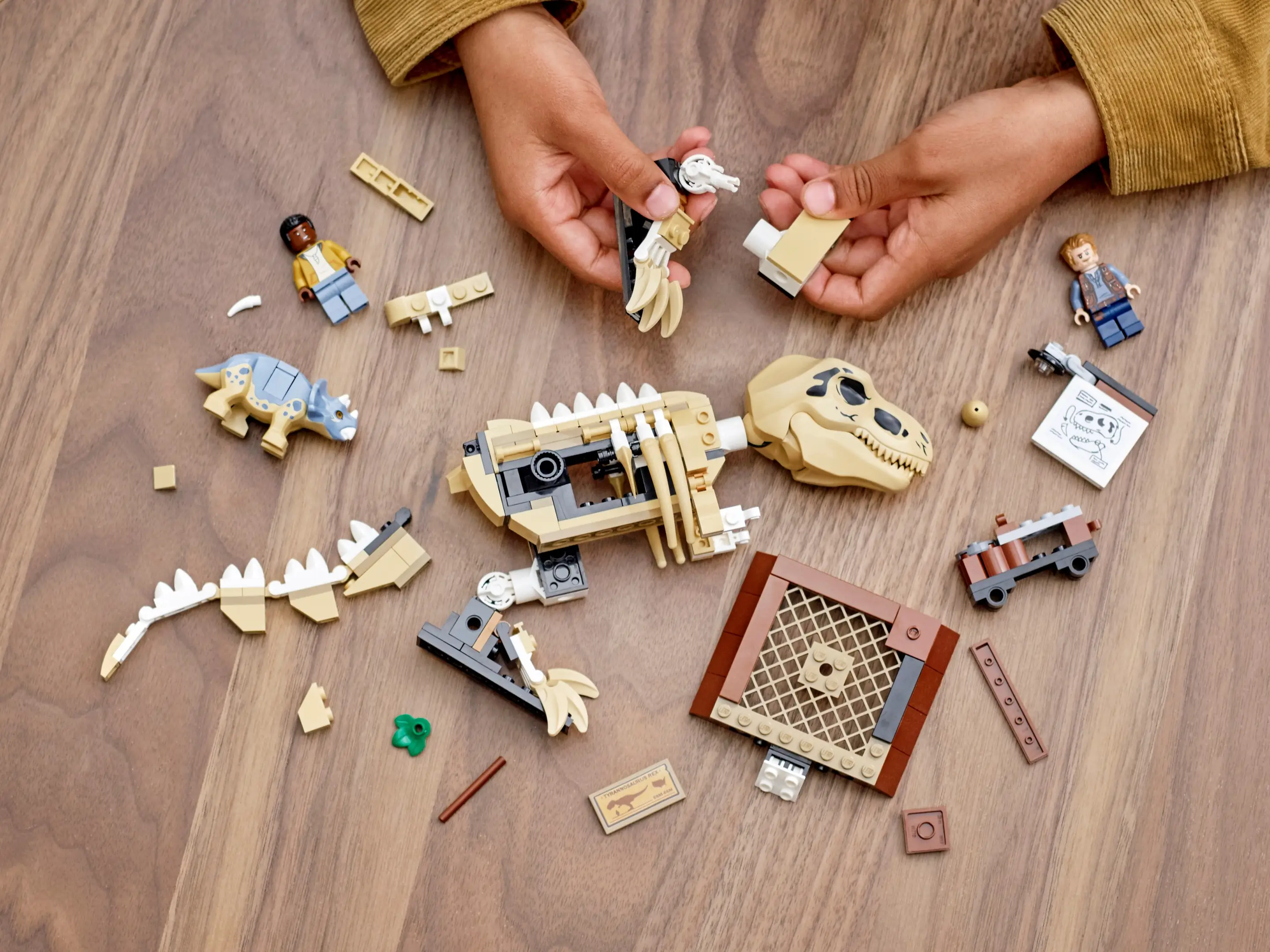 LEGO Jurassic World T. rex Dinosaur Fossil Exhibition