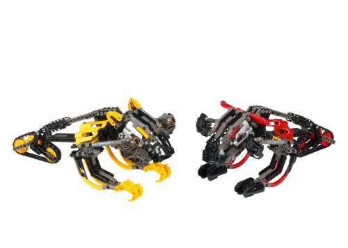 LEGO BIONICLE Muaka & Kane-Ra • Set 8538 • SetDB