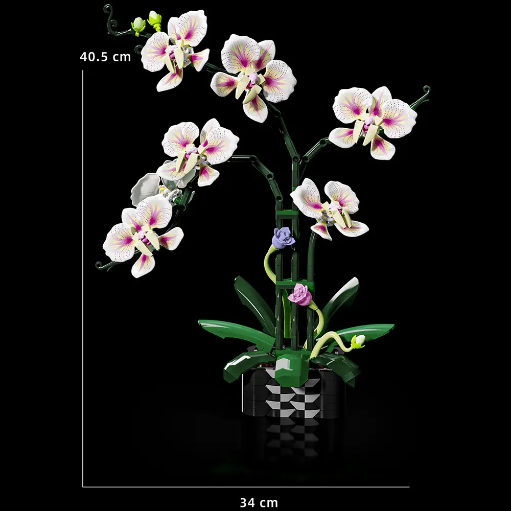 MJI Cymbidium • Set 13113 • SetDB • Merlins Bricks