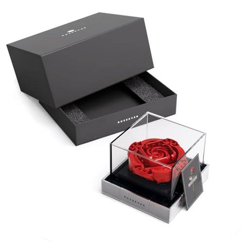 Roseever (NF10256) — Prix et comparaison | Brick Broker