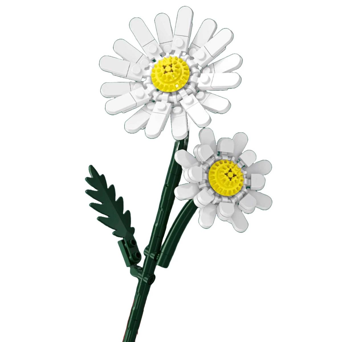 Daisy (SEM-601281) — Prix et comparaison | Brick Broker